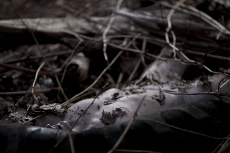 一具死尸躺在满是泥土和树叶的地板上