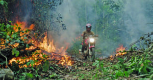 一个戴着头盔的人骑着摩托车穿过燃烧的树叶。