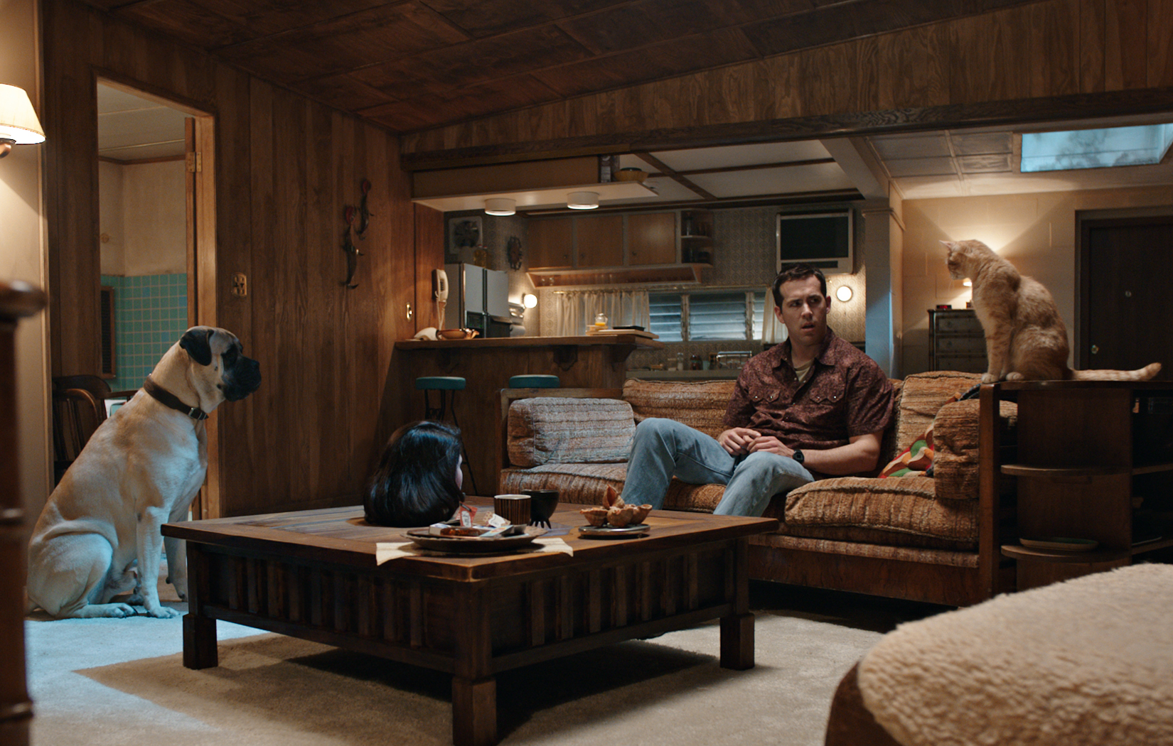 一个男人(瑞安·雷诺兹饰)坐在沙发上看着他的猫和狗